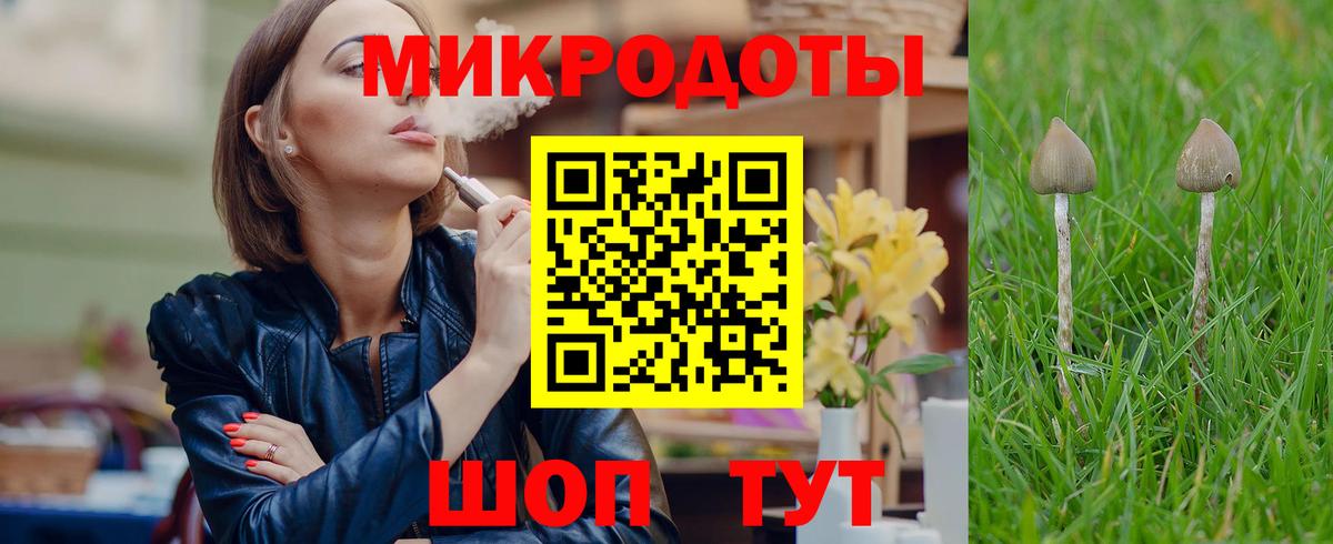 Узловая  Галлюциногенные грибы Psilocybe  Псилоцибиновые грибы мухоморы  Вход с VPN 